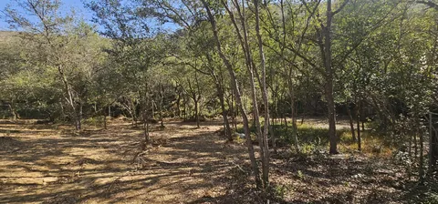 Terreno San José – Proyecto Turístico o Cabañas 4